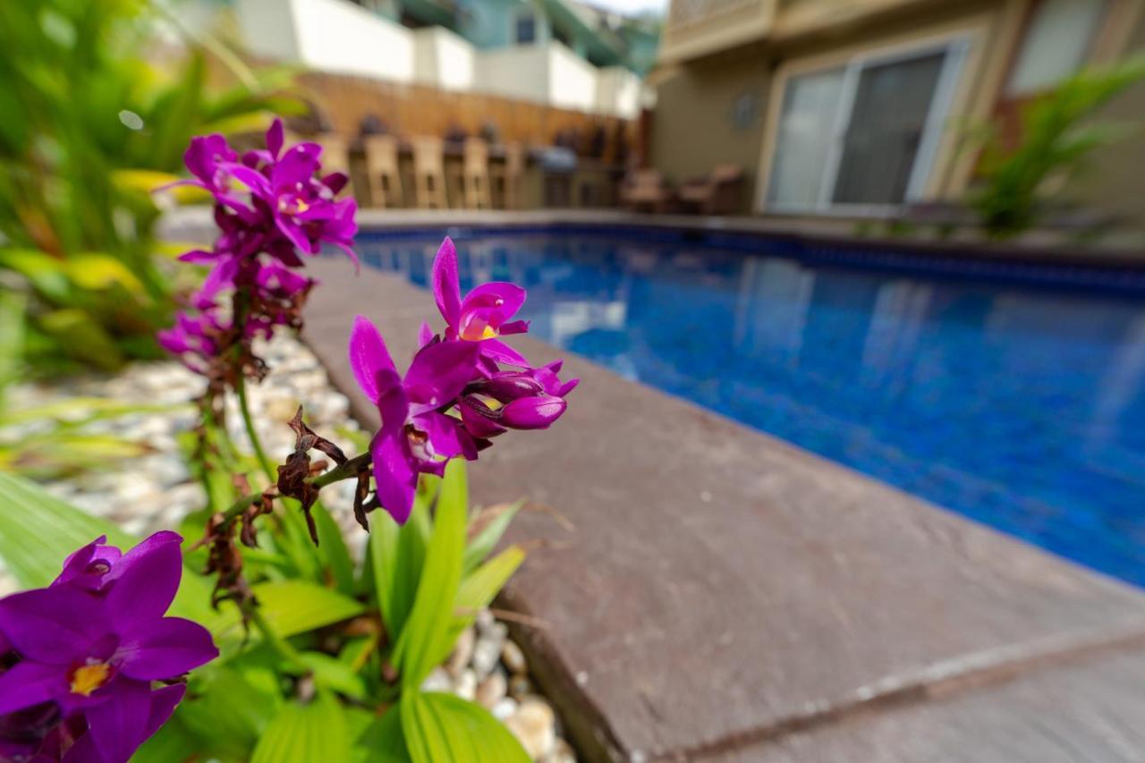 Studio With Mini Kitchen, Pool And Bbq, Pre-Renovation Summer Sale Кихеи Екстериор снимка